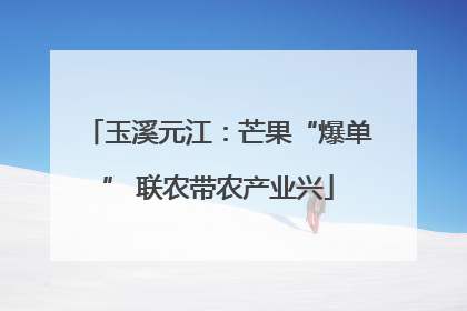 玉溪元江：芒果“爆单” 联农带农产业兴