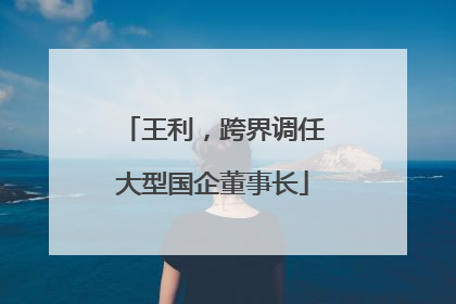 王利，跨界调任大型国企董事长