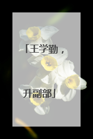 王学勤，升副部