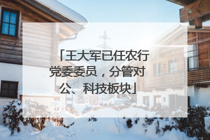 王大军已任农行党委委员，分管对公、科技板块