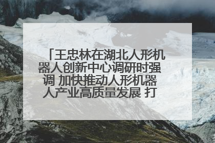 王忠林在湖北人形机器人创新中心调研时强调 加快推动人形机器人产业高质量发展 打造具有全国影响力的研发创新基地
