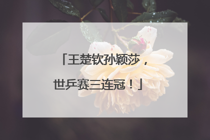 王楚钦孙颖莎，世乒赛三连冠！
