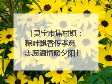 灵宝市焦村镇：粽叶飘香传孝意 志愿温情暖夕阳