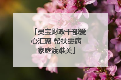 灵宝财政干部爱心汇聚 帮扶患病家庭渡难关
