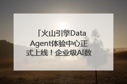火山引擎Data Agent体验中心正式上线！企业级AI数据专家触手可及