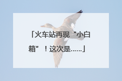 火车站再现“小白箱”！这次是……
