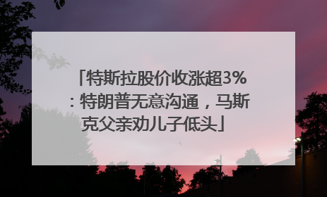 特斯拉股价收涨超3%：特朗普无意沟通，马斯克父亲劝儿子低头