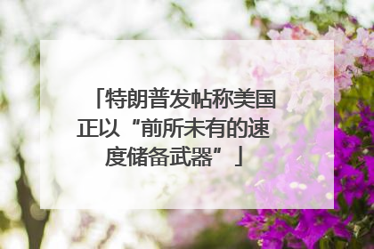 特朗普发帖称美国正以“前所未有的速度储备武器”