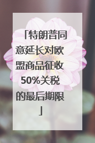 特朗普同意延长对欧盟商品征收50%关税的最后期限