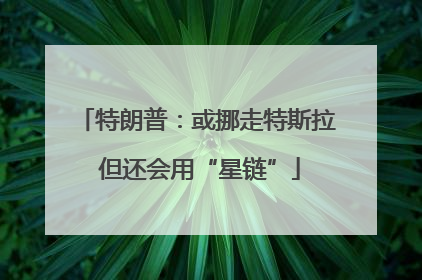 特朗普：或挪走特斯拉 但还会用“星链”