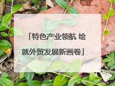 特色产业领航 绘就外贸发展新画卷