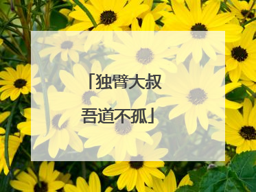独臂大叔 吾道不孤