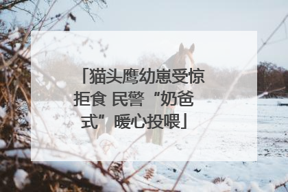 猫头鹰幼崽受惊拒食 民警“奶爸式”暖心投喂