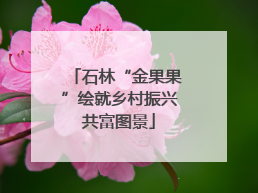 石林“金果果”绘就乡村振兴共富图景