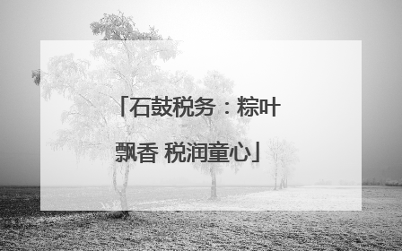石鼓税务：粽叶飘香 税润童心