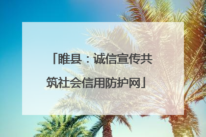 睢县：诚信宣传共筑社会信用防护网