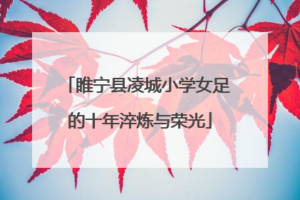 睢宁县凌城小学女足的十年淬炼与荣光