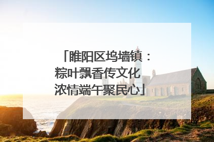 睢阳区坞墙镇：粽叶飘香传文化 浓情端午聚民心