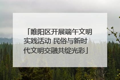 睢阳区开展端午文明实践活动 民俗与新时代文明交融共绽光彩