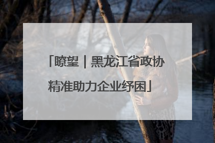 瞭望｜黑龙江省政协精准助力企业纾困