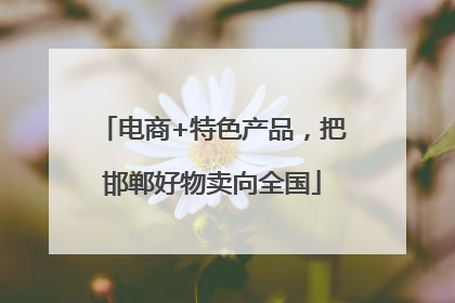 电商+特色产品，把邯郸好物卖向全国