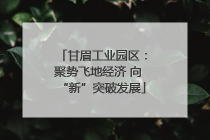 甘眉工业园区：聚势飞地经济 向“新”突破发展