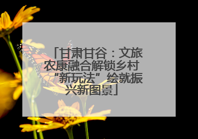 甘肃甘谷：文旅农康融合解锁乡村“新玩法”绘就振兴新图景
