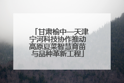 甘肃榆中—天津宁河科技协作推动高原夏菜智慧育苗与品种革新工程