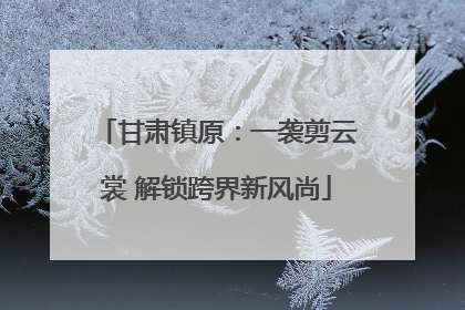甘肃镇原：一袭剪云裳 解锁跨界新风尚