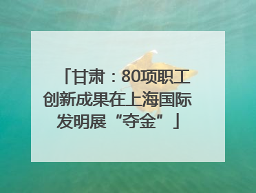 甘肃：80项职工创新成果在上海国际发明展“夺金”