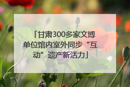 甘肃300多家文博单位馆内室外同步“互动”遗产新活力