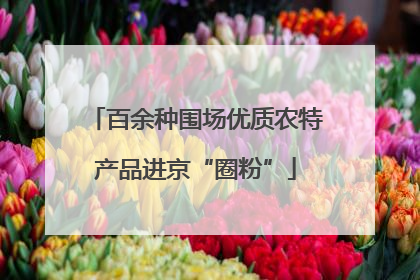 百余种围场优质农特产品进京“圈粉”