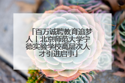 百万诚聘教育追梦人丨北京师范大学宁德实验学校高层次人才引进启事