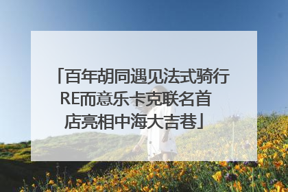 百年胡同遇见法式骑行 RE而意乐卡克联名首店亮相中海大吉巷