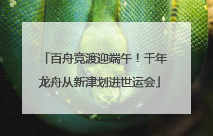 百舟竞渡迎端午！千年龙舟从新津划进世运会