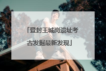 登封王城岗遗址考古发掘最新发现