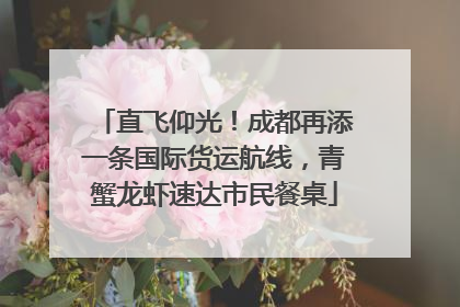 直飞仰光！成都再添一条国际货运航线，青蟹龙虾速达市民餐桌