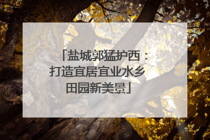 盐城郭猛护西：打造宜居宜业水乡田园新美景