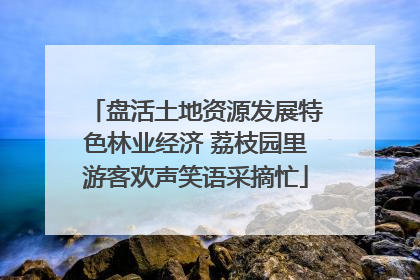 盘活土地资源发展特色林业经济 荔枝园里游客欢声笑语采摘忙