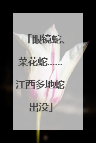 眼镜蛇、菜花蛇……江西多地蛇出没