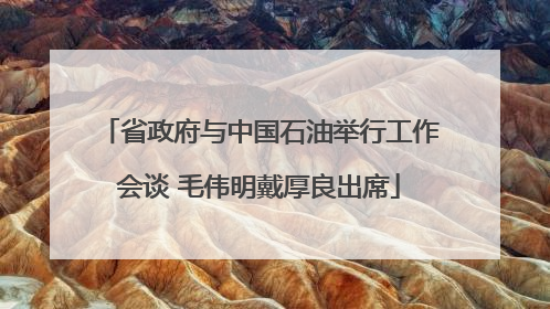 省政府与中国石油举行工作会谈 毛伟明戴厚良出席