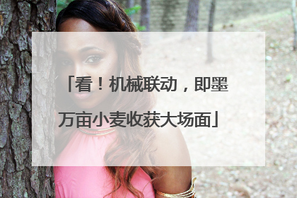 看！机械联动，即墨万亩小麦收获大场面