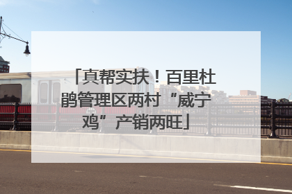 真帮实扶！百里杜鹃管理区两村“威宁鸡”产销两旺