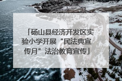 砀山县经济开发区实验小学开展“民法典宣传月”法治教育宣传