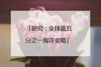 研究：全球逾五分之一海洋变暗