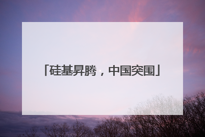 硅基昇腾，中国突围