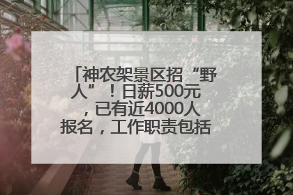 神农架景区招“野人”！日薪500元，已有近4000人报名，工作职责包括“接受游客投喂”