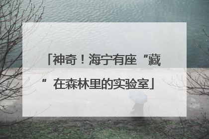 神奇！海宁有座“藏”在森林里的实验室