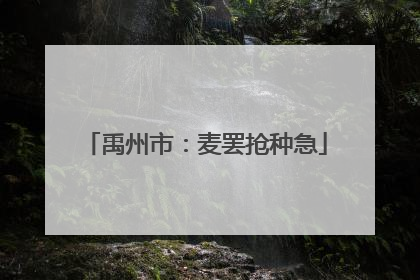 禹州市：麦罢抢种急