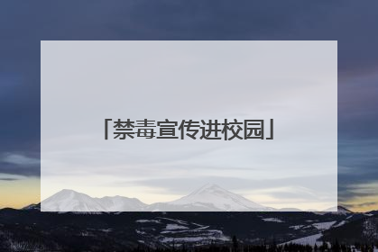 禁毒宣传进校园